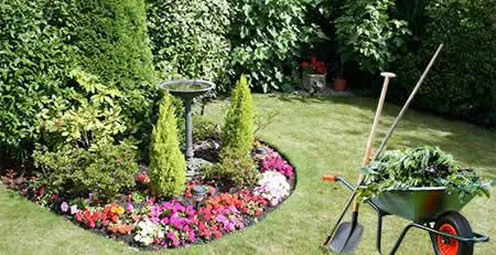 Garden Tidy Up Services provided by Superior House
